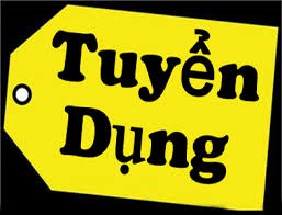 Tuyển dụng kế toán