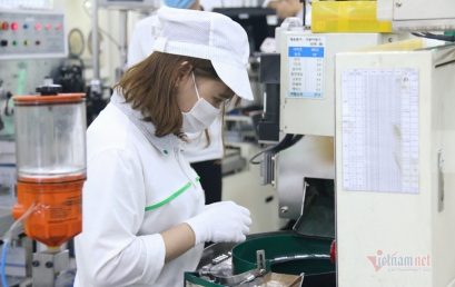 “Học đại” sau tốt nghiệp phổ thông và những cái giá đắt