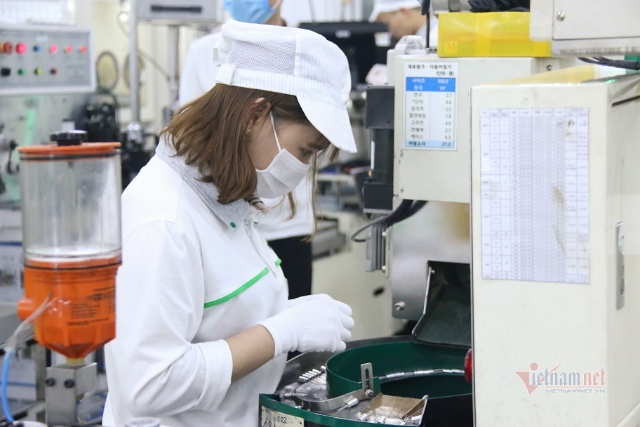 “Học đại” sau tốt nghiệp phổ thông và những cái giá đắt