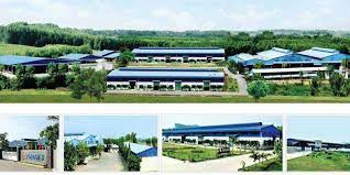 Tuyển dụng nhân viên thiết kế