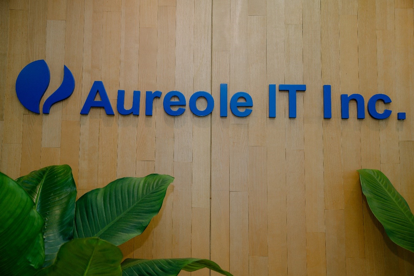 Công ty AUREOLE IT tuyển dụng