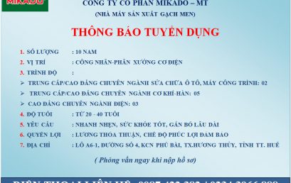 Mikado tuyển dụng
