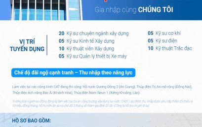 [Tuyển Dụng 2026] Công Ty Cổ Phần Xây Dựng 47 Tuyển 170 Nhân Sự Phân Khối Lớn – Thu Nhập Lên Đến 20 Triệu/Tháng